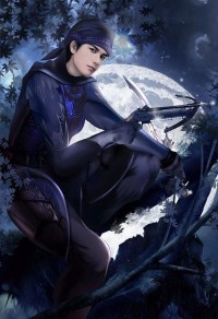 武侠飞仙